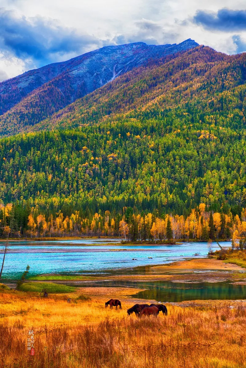 探寻新疆之美，丝路明珠的千年风情